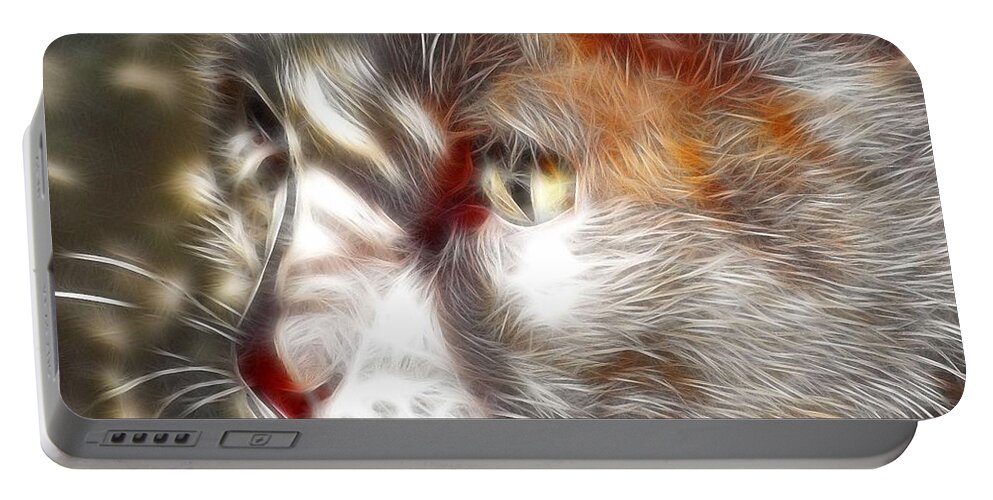 Cats Portable Battery Charger featuring the photograph Miss Kitty by Kathy Baccari