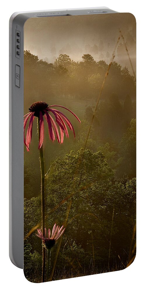 2010 Portable Battery Charger featuring the photograph Mist on the Glade by Robert Charity