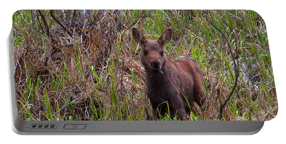 Moose Photograph Portable Battery Charger featuring the photograph Mmmm Good by Jim Garrison