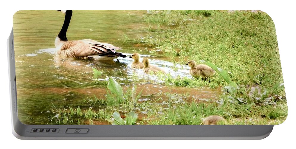 Baby Ducks Landscape Portable Battery Charger featuring the photograph Mom and Babies Swimming by Peggy Franz