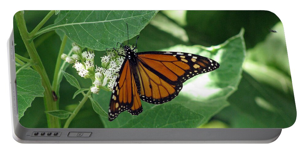 Butterfly Portable Battery Charger featuring the photograph Monarch Butterfly 41 by Pamela Critchlow