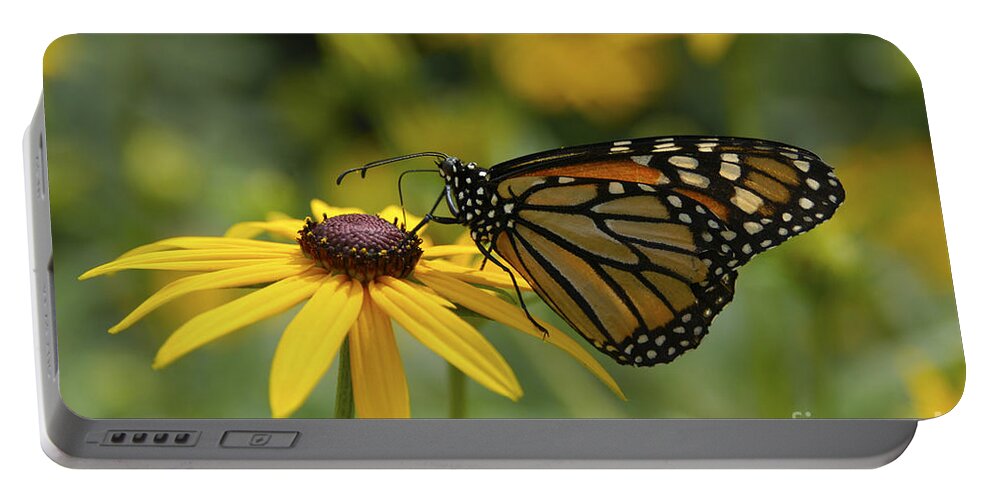 Monarch Butterfly Portable Battery Charger featuring the photograph Monarch Butterfly by Anthony Sacco