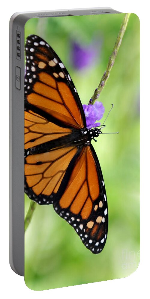 Macro Portable Battery Charger featuring the photograph Monarch Butterfly in Spring by Sabrina L Ryan