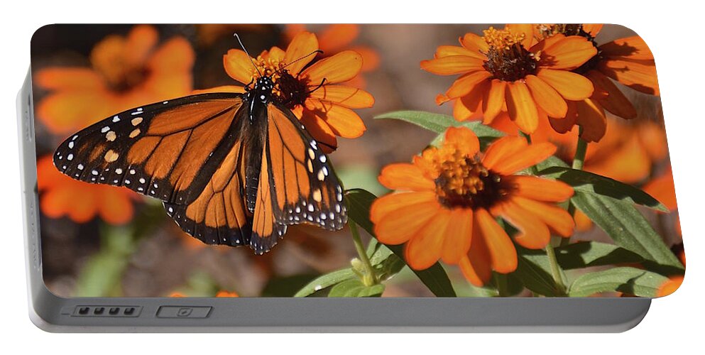 Butterfly Portable Battery Charger featuring the photograph Bold and Beautiful by Carol Bradley