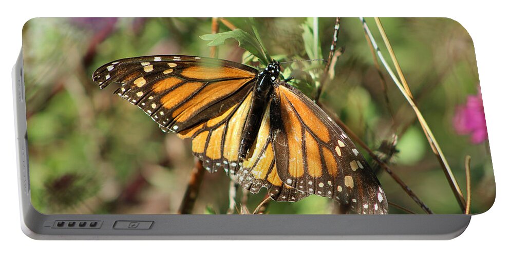 Monarch Portable Battery Charger featuring the photograph Monarch Matriarch by Deana Glenz