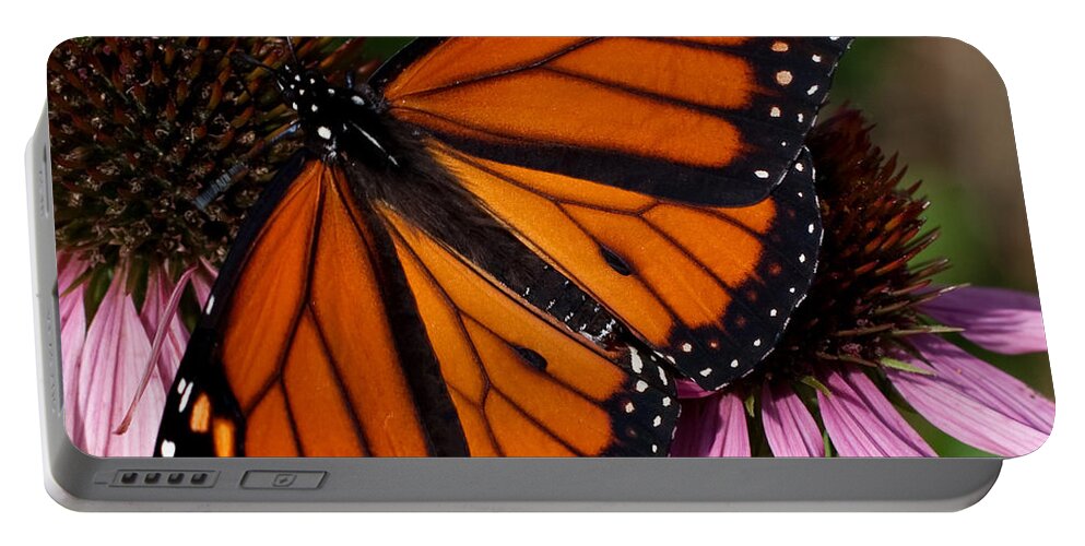 Monarch Portable Battery Charger featuring the photograph Monarch on Purple Coneflower by Barbara McMahon