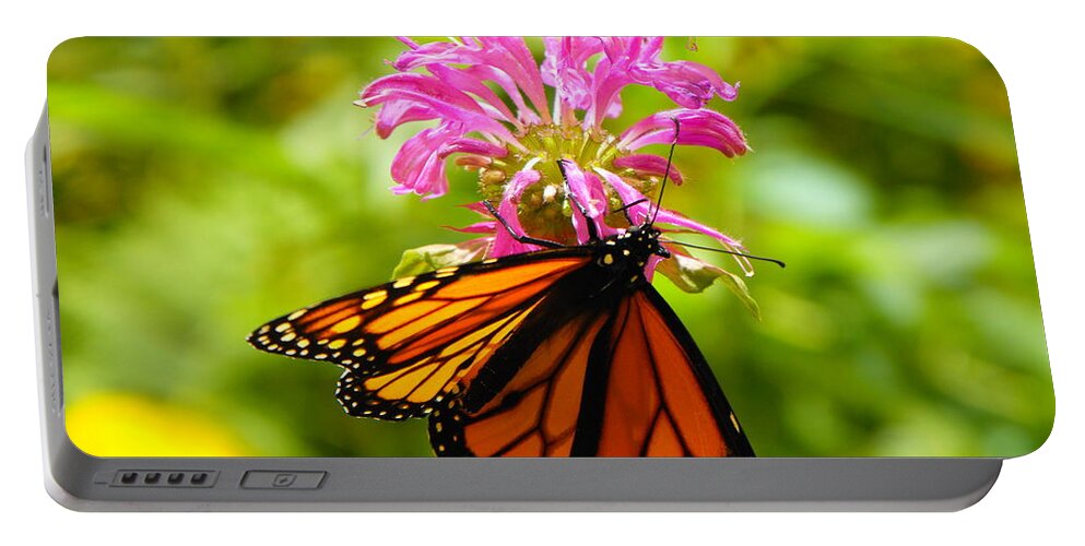 Monarch Portable Battery Charger featuring the photograph Monarch Under Flower by Erick Schmidt