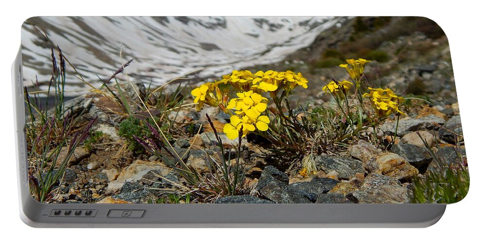 Photo Portable Battery Charger featuring the photograph Blue Lakes Colorado Wildflowers by Dan Miller