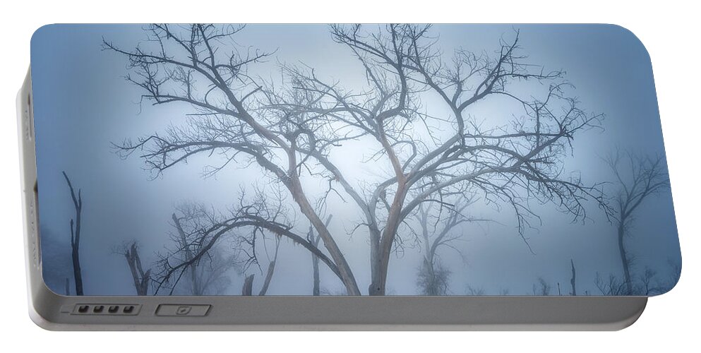 Foggy Portable Battery Charger featuring the photograph Moods of the Morning by Darren White