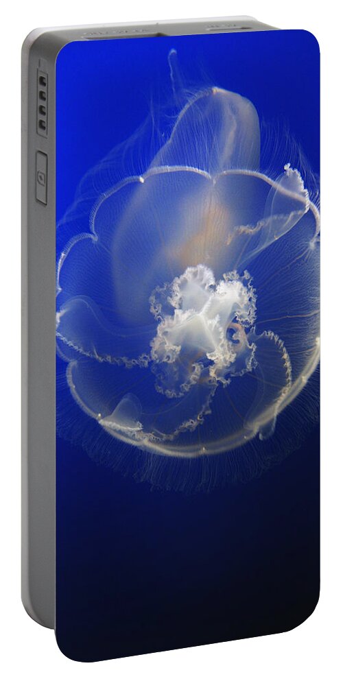 Feb0514 Portable Battery Charger featuring the photograph Moon Jelly by Hiroya Minakuchi