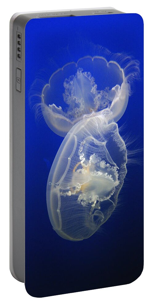 Feb0514 Portable Battery Charger featuring the photograph Moon Jelly Pair by Hiroya Minakuchi