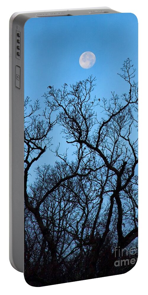 Trees Portable Battery Charger featuring the photograph Moonset Blue Ridge Mountains by John Harmon