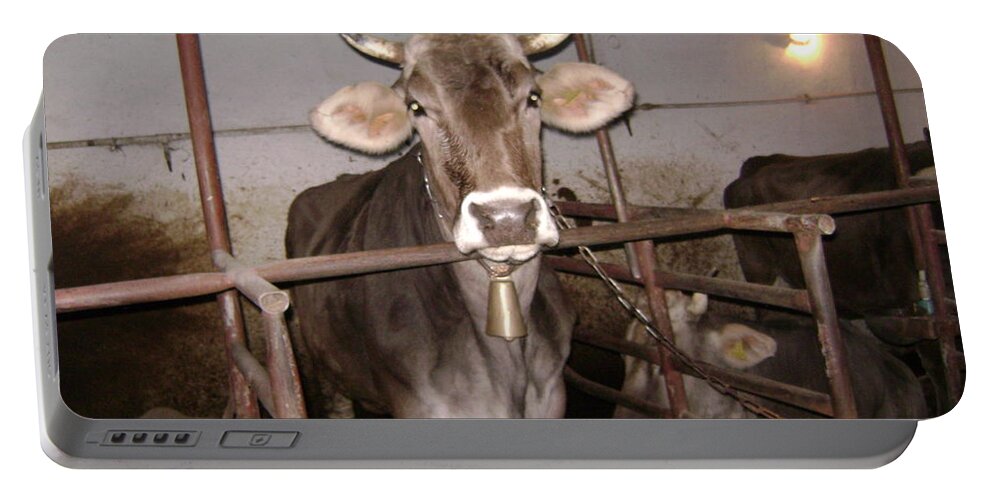 Animals Portable Battery Charger featuring the photograph Mooooo by Moshe Harboun