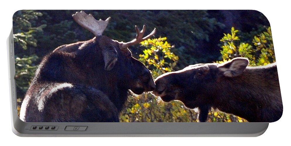 Moose Portable Battery Charger featuring the photograph Moose Kisses by Marilyn Burton