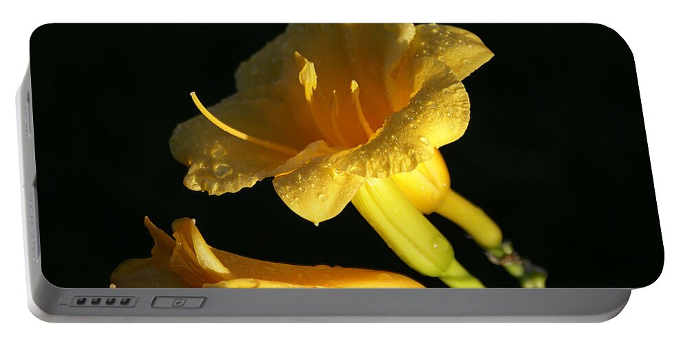 Nature Portable Battery Charger featuring the photograph Morning Dew by Chauncy Holmes