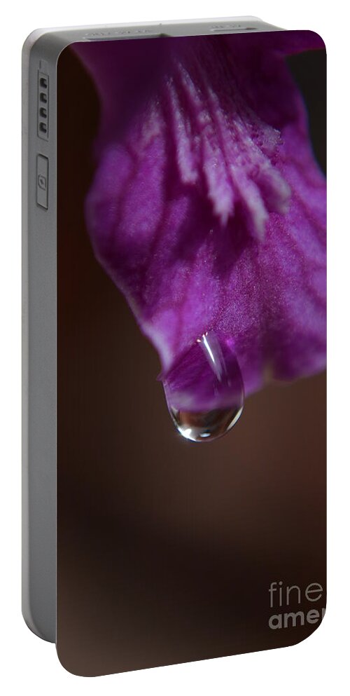 Michelle Meenawong Portable Battery Charger featuring the photograph Morning Dew by Michelle Meenawong