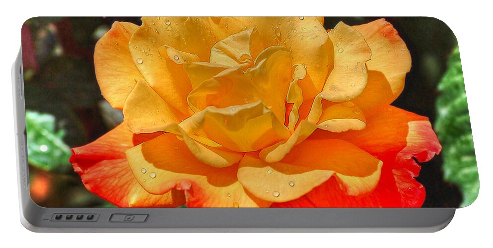 Flowers Portable Battery Charger featuring the photograph Morning Dew On A Yellow Rose by Kathy Baccari