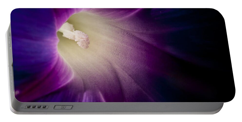 Purple Portable Battery Charger featuring the photograph Morning Glory Purple by Roger Snyder