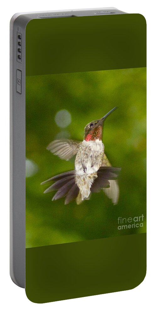 Hummingbird Portable Battery Charger featuring the photograph Morning Greeter II by Alice Mainville