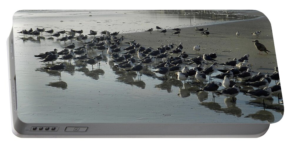 Seashore Portable Battery Charger featuring the photograph Morning Gulls by Deborah Ferree