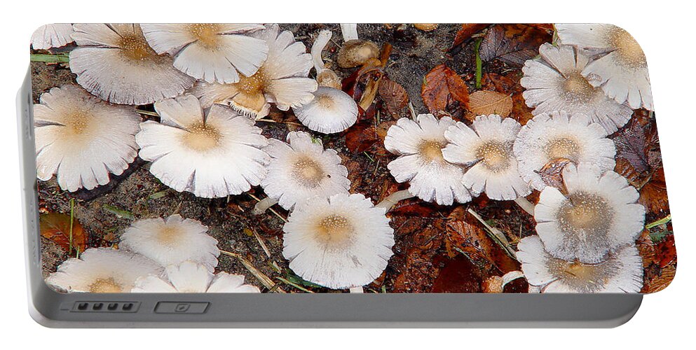 Texas Portable Battery Charger featuring the photograph Morning Mushrooms by Erich Grant