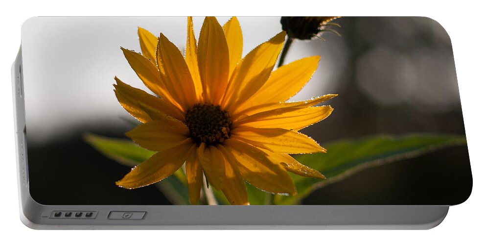 Flowers Portable Battery Charger featuring the photograph Morning Sunshine by Miguel Winterpacht