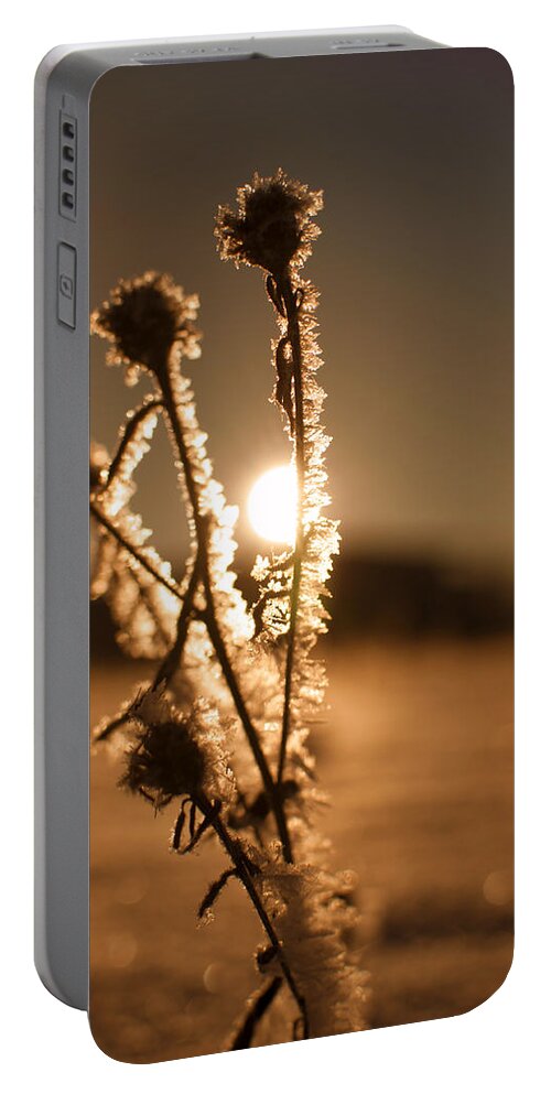 Wald Portable Battery Charger featuring the photograph Morning Walk by Miguel Winterpacht
