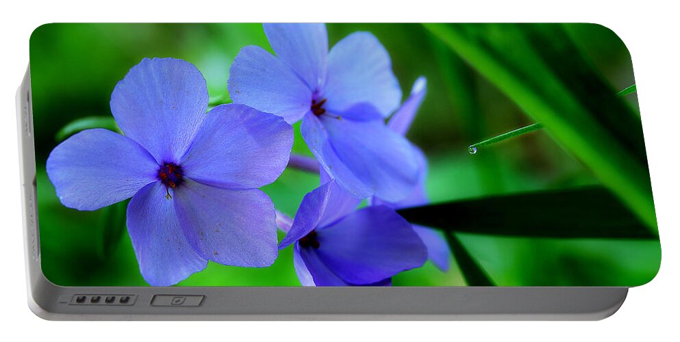 Blue Wildflowers Portable Battery Charger featuring the photograph Morning Wildflowers by Michael Eingle