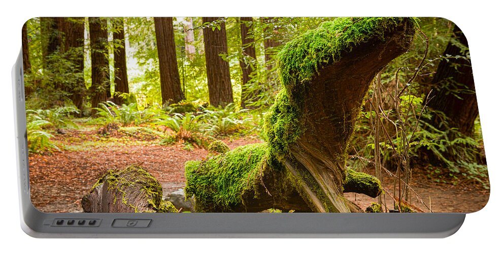 Moss Portable Battery Charger featuring the photograph Mossy Creature by Bryant Coffey