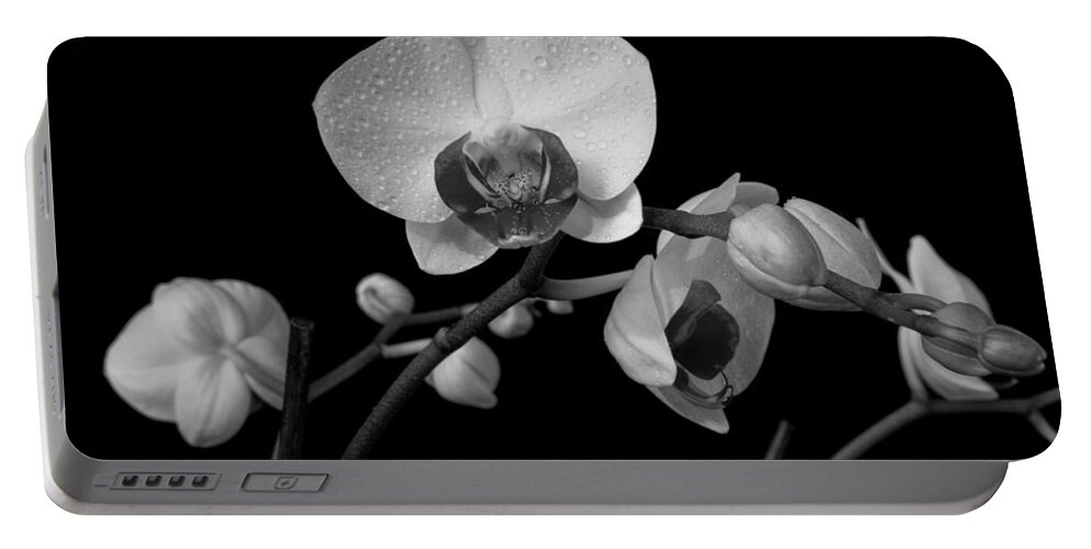 Flower Portable Battery Charger featuring the photograph Moth Orchids by Ron White
