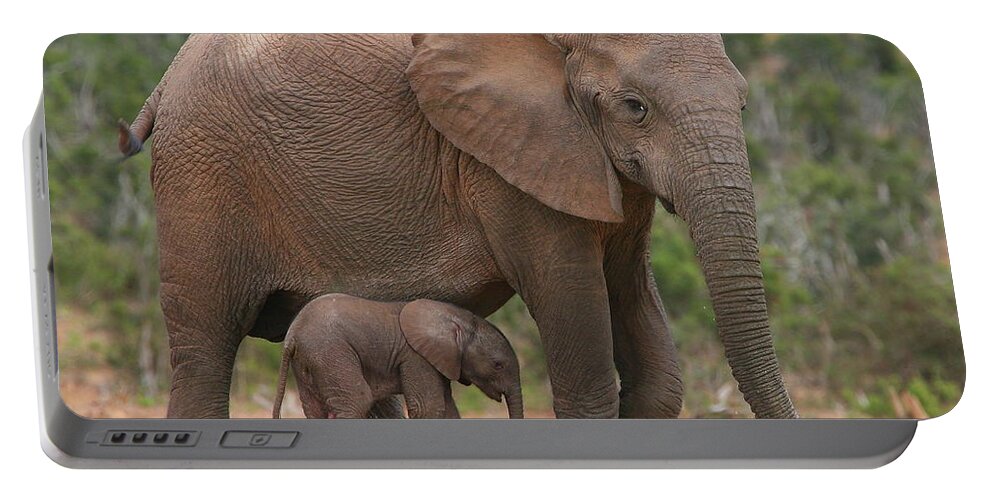 Elephant Portable Battery Charger featuring the photograph Mother and Calf by Bruce J Robinson