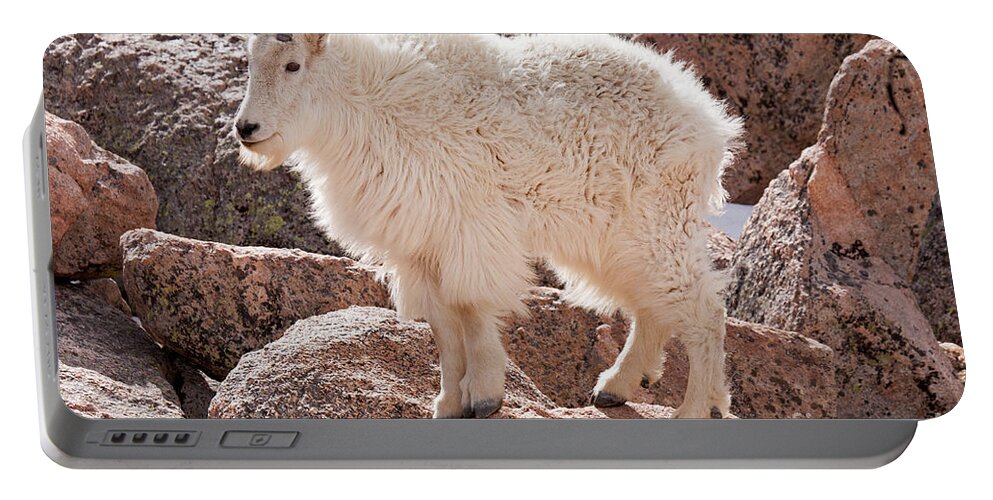 Arapaho National Forest Portable Battery Charger featuring the photograph Mountain Goat on Mount Evans by Fred Stearns