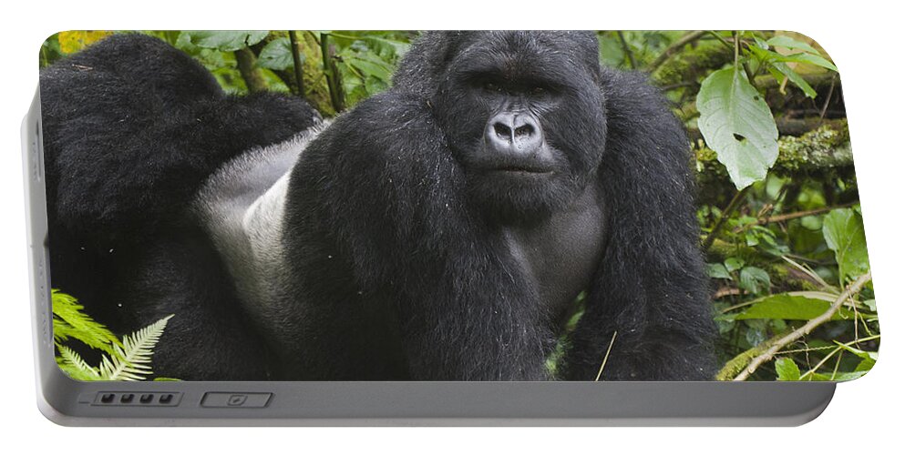 Feb0514 Portable Battery Charger featuring the photograph Mountain Gorilla Silverback Rwanda by D. & E. Parer-Cook