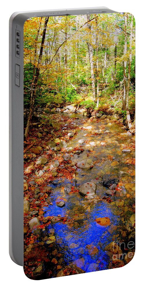 Mountain Streams Portable Battery Charger featuring the photograph Mountain Stream Covered With Fall Leaves by Eunice Miller