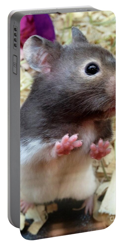 Mouce Portable Battery Charger featuring the photograph Mouse in the House by Carla Carson