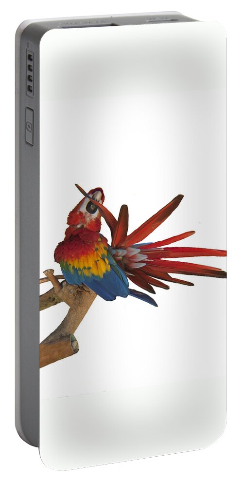 Scarlet Macaw Portable Battery Charger featuring the photograph Mr. Clean the Scarlet Macaw by Daniel Hebard