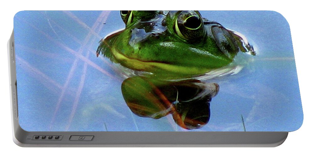 Frog Portable Battery Charger featuring the photograph Mr. Frog by Donna Brown