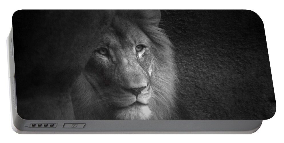 Animals Portable Battery Charger featuring the photograph Mr Lion in Black and White by Thomas Woolworth