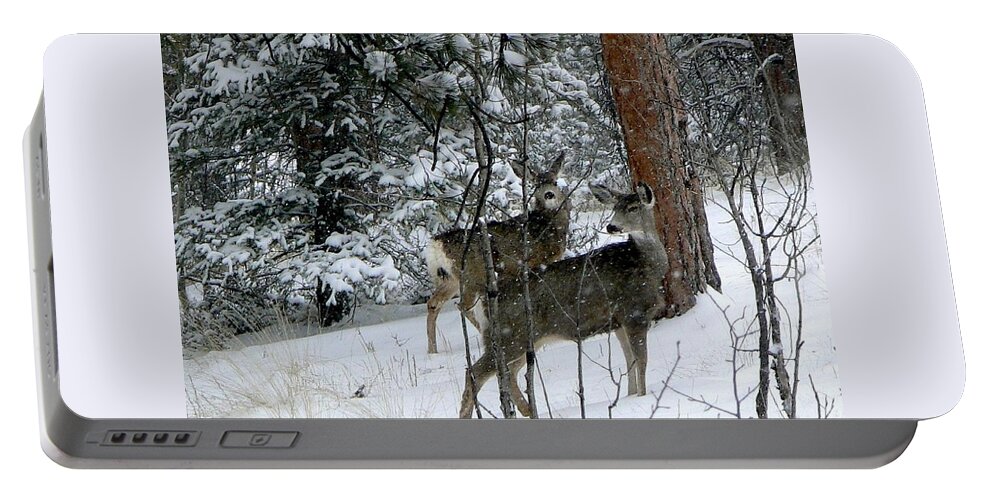 Colorado Portable Battery Charger featuring the photograph Mule Deer Does in a Snowfall by Marilyn Burton