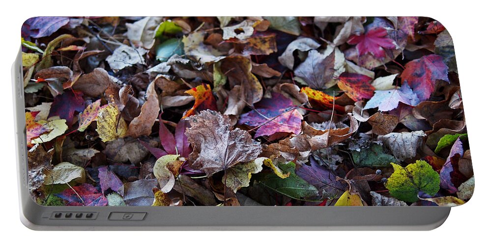 Colorful Portable Battery Charger featuring the photograph Multicolored Autumn Leaves by Rona Black
