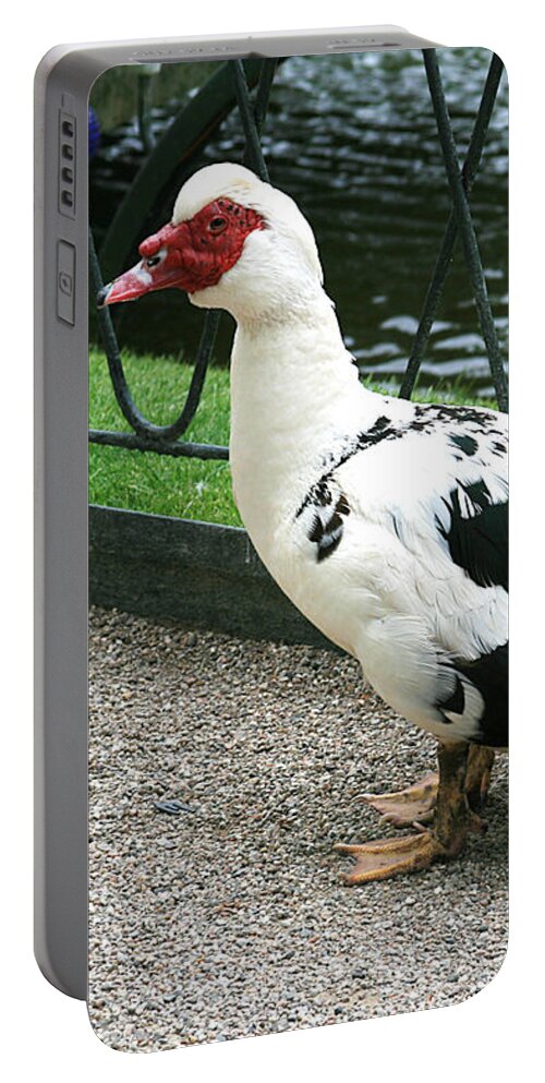 Muscovy Duck In Tivoli Gardens Portable Battery Charger featuring the photograph Muscovy Duck in Tivoli Gardens by Victoria Harrington