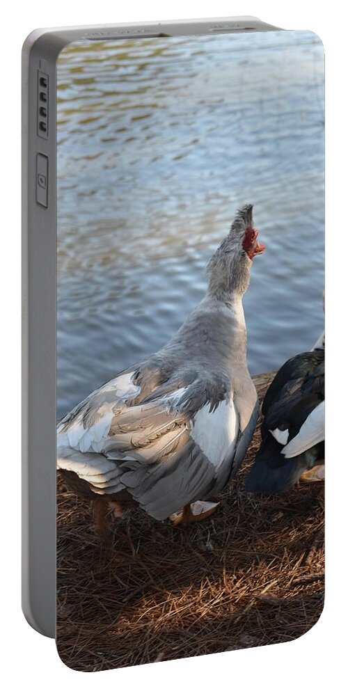 Muscovy Partners Portable Battery Charger featuring the photograph Muscovy Partners by Maria Urso