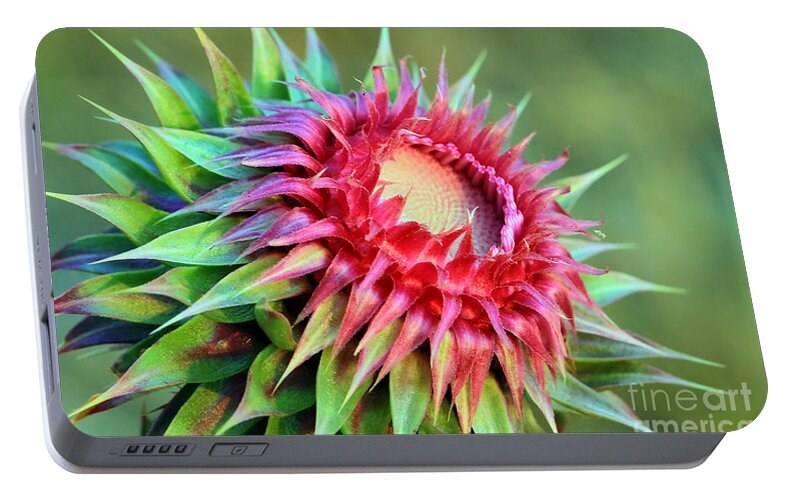 Plant Portable Battery Charger featuring the photograph Musk Thistle by Teresa Zieba