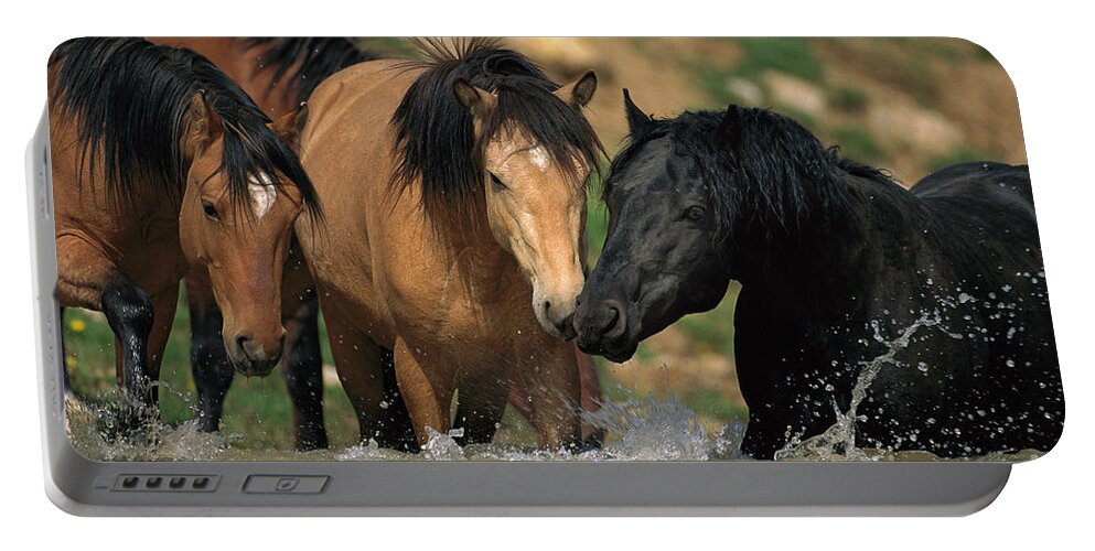 00340043 Portable Battery Charger featuring the photograph Mustangs At Waterhole In Summer by Yva Momatiuk and John Eastcott