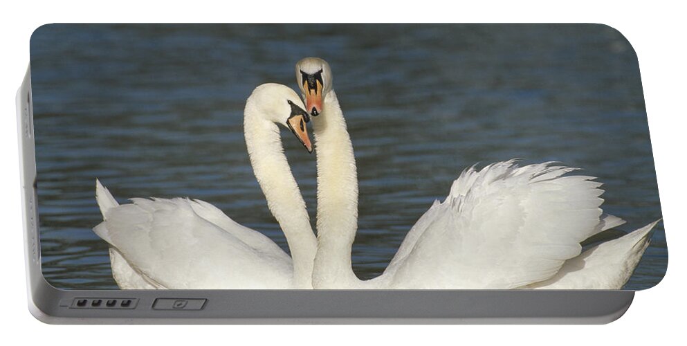 Feb0514 Portable Battery Charger featuring the photograph Mute Swan Courting Pair by Konrad Wothe