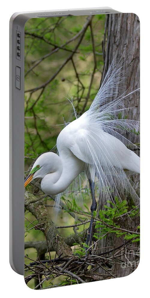 Egret Portable Battery Charger featuring the photograph My Beautiful Plumage by Kathy Baccari
