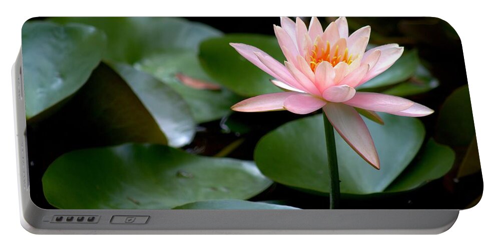 Pink Portable Battery Charger featuring the photograph My Pink Water Lily by Carol Montoya