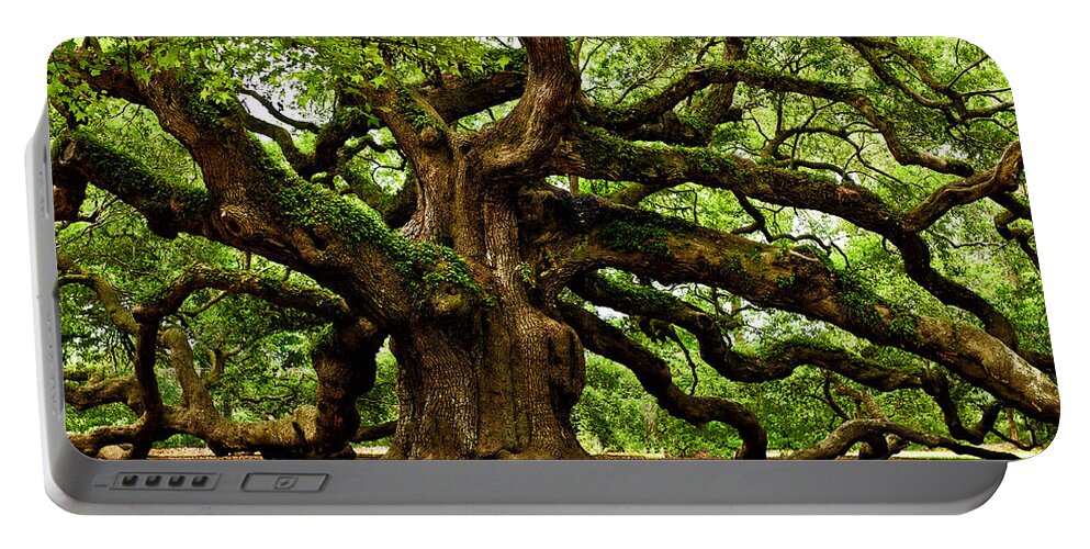  Johns Island Portable Battery Charger featuring the photograph Mystical Angel Oak Tree by Louis Dallara