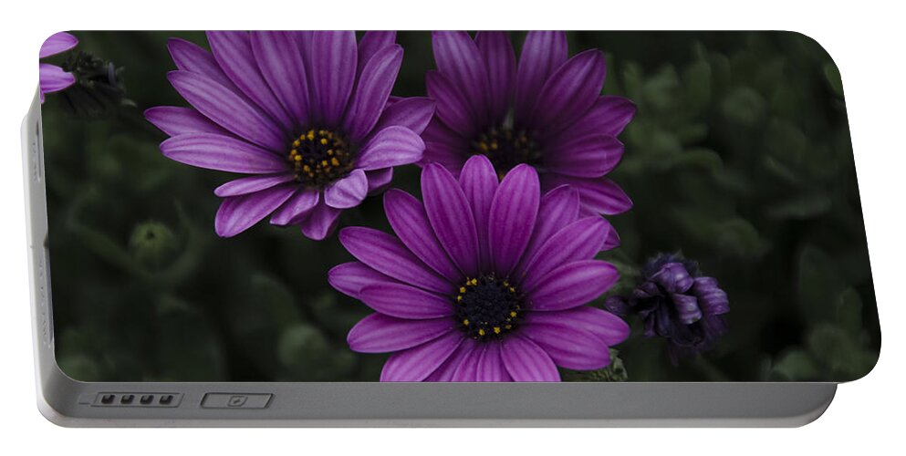 Mystical Portable Battery Charger featuring the photograph Mystical Purple by Penny Lisowski