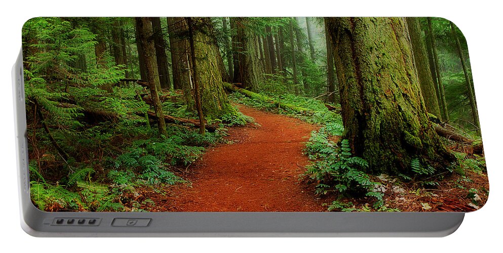 Forest Portable Battery Charger featuring the photograph Mystical Trail by Randy Hall